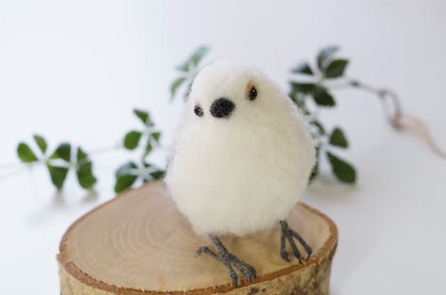 シマエナガの首かしげ右